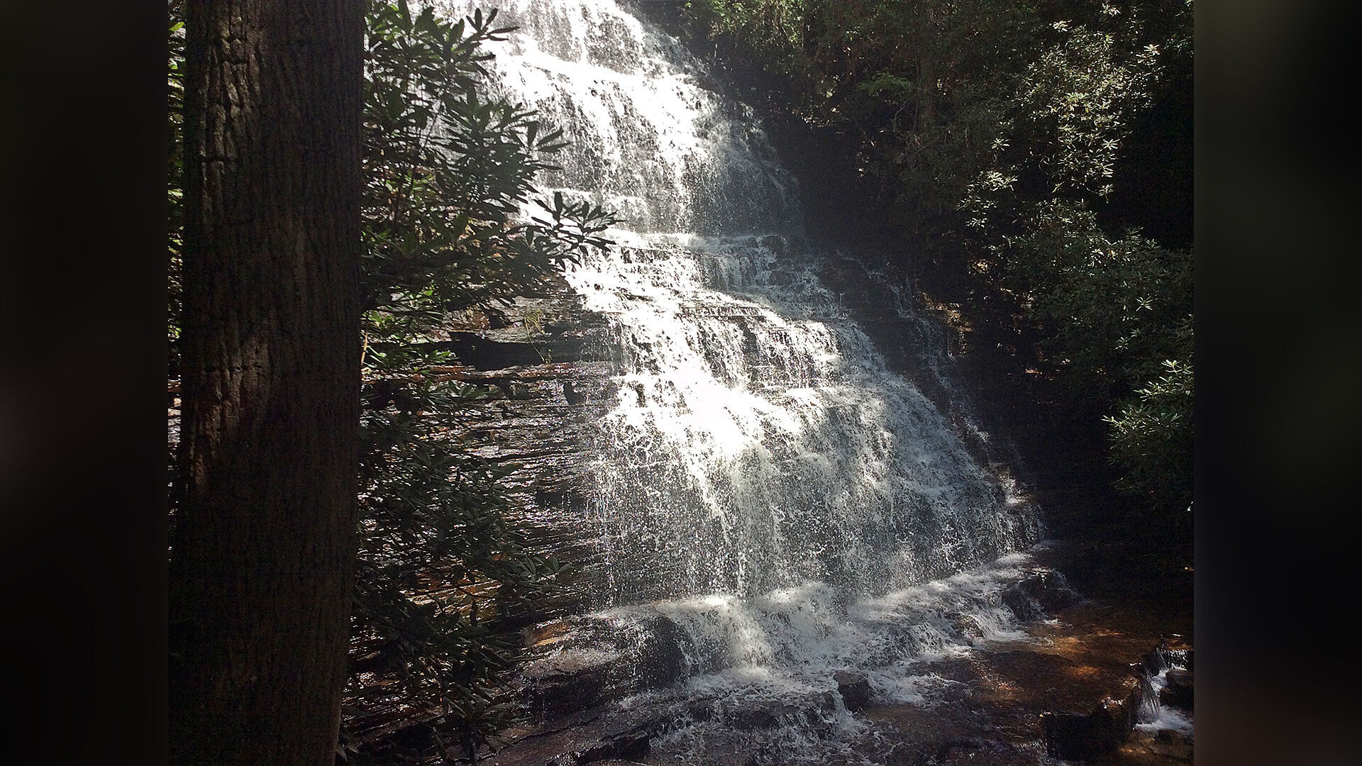 Hazardous tree removal scheduled at Benton Falls